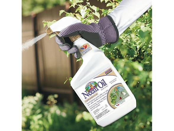 Bonide GAR-01 Bonide Captain Jack's Neem Oil 32oz