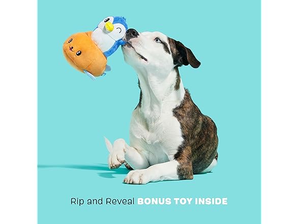 Barkbox Santiago Seal Dog Toy | Plush
