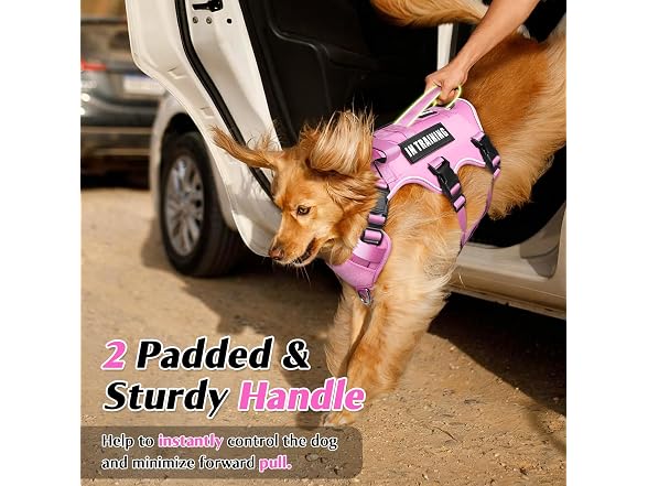 Winsee Escape Proof Service Dog Harness