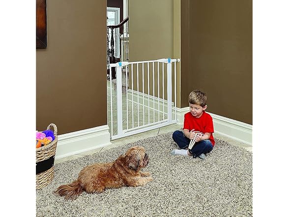 MidWest 29" Walk-Though Steel Pet Gate