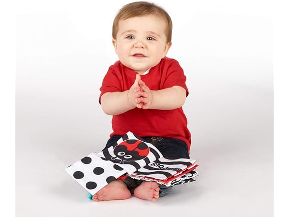 Sassy Peek-a-Boo Activity On-the-Go Book