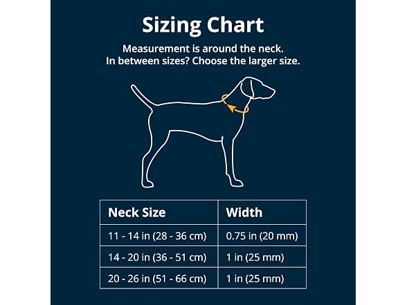 Ruffwear, Front Range Dog Collar, Blue Moon,