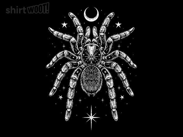 Nocturnal Tarantula