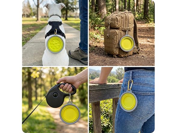 AKC 2-Pack Collapsible Travel Bowls for Dogs- Gray/Green