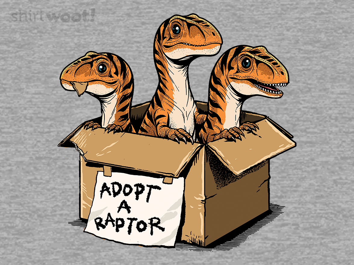 Adopt a Raptor - Gallery 4