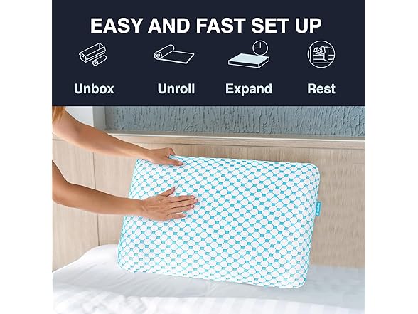 SKYCARE Zenith Standard Memory Foam Pillow