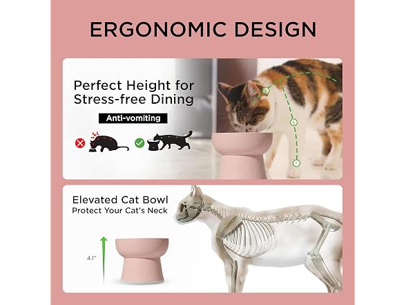 Necoichi 2pcs Elevated Cat Water Bowls, Food
