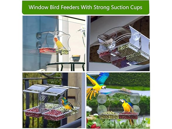 Generic Window Bird Feeder for Outdoor