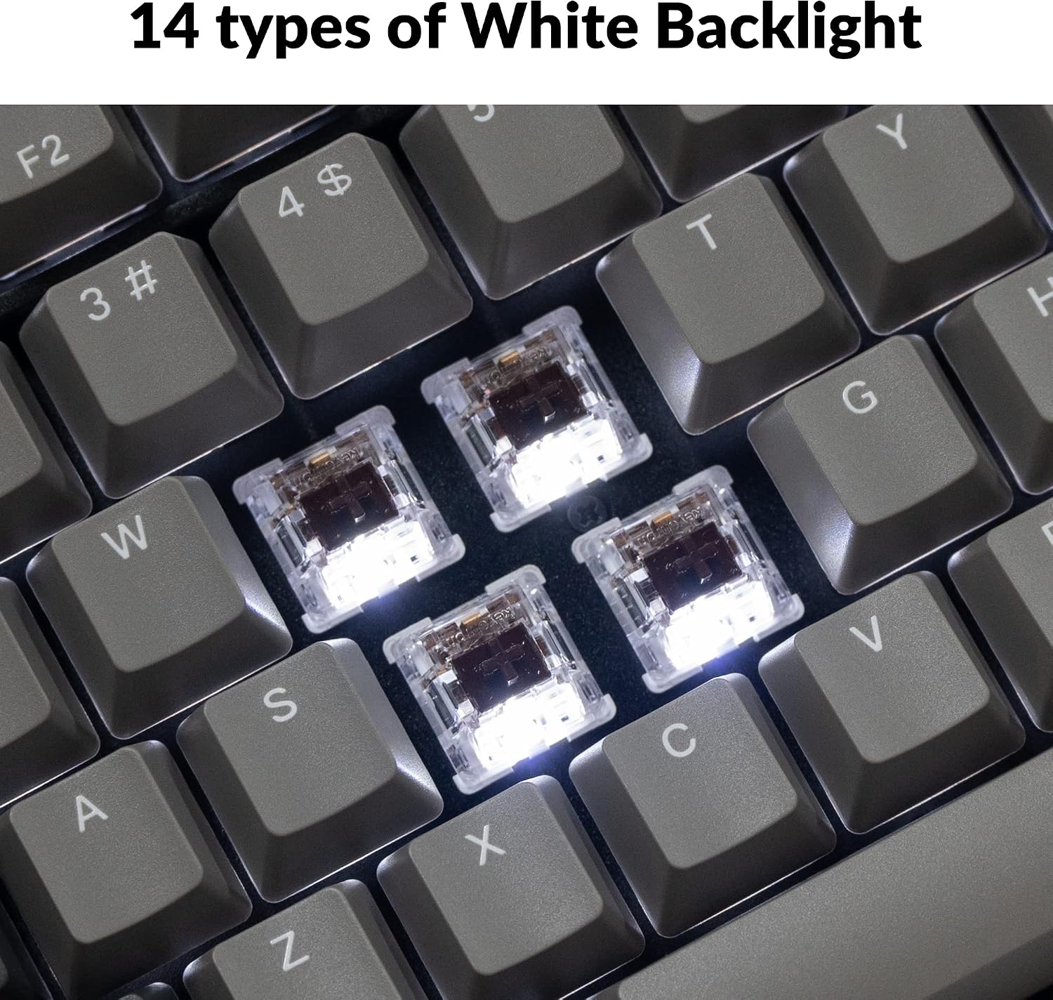 Keychron C2 Pro Wired Custom Mechanical Keyboard - Gallery 13