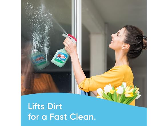 Windex Multipurpose Cleaner