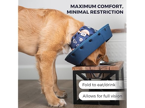Ejona's furryfamily Dog Cone Collar