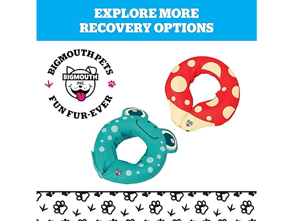 Rainbow Inflatable Dog Recovery Collar