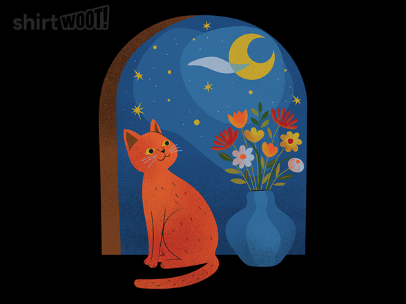 Cat on the Window