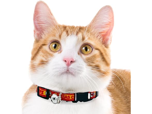 NFL CAT Collar Kansas City Chiefs