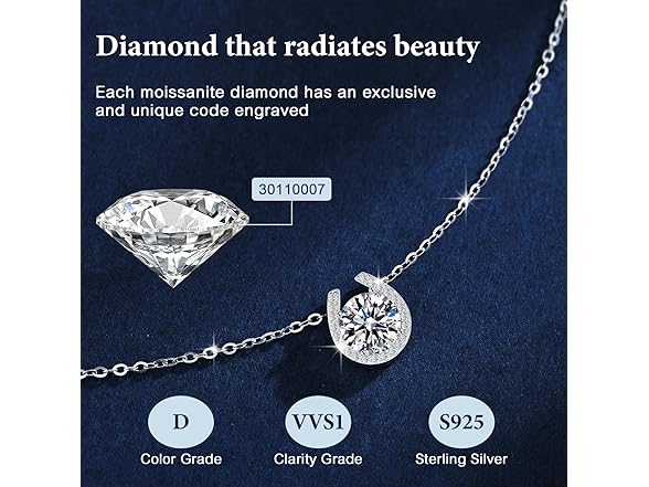 SunBeach Moissanite Horseshoe Necklace