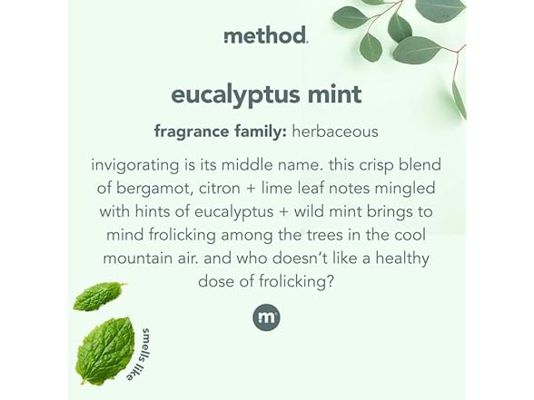 Method Daily Shower, Eucalyptus Mint, 28