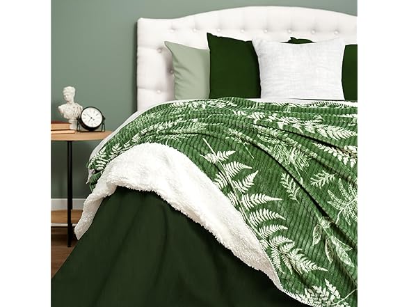 Northwest Ashford Home Cozy Twin Throw