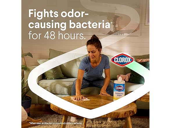 Clorox Travel Wipes 9ct