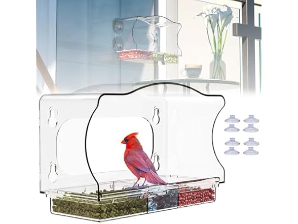 Generic Window Bird Feeder for Outdoor