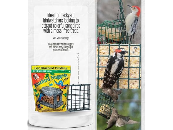 C&S Bluebird Blueberry Suet Nuggets 27 oz Bundle