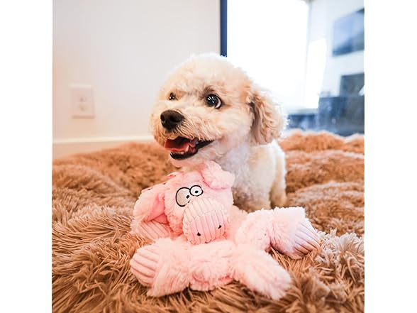 Barnyard Buddy Piggy Plush Dog Toy