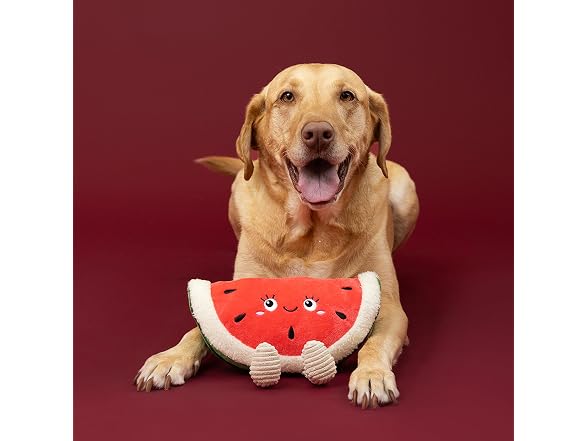 Fringe Studio Seed the Day! Plush Dog Toy, Watermelon