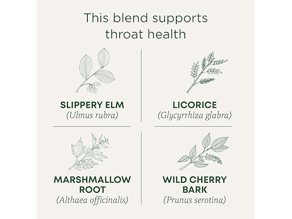 16CT Traditional Medicinals Organic, Throat Coat Tea