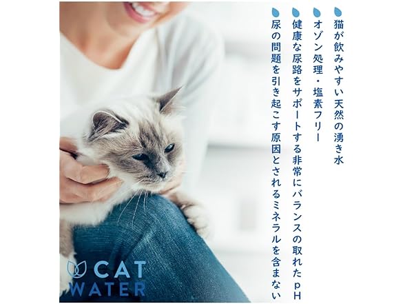 Fantasy World PH Balance Cat Water 4L Cat Water