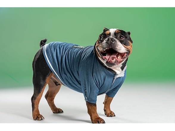 Pooch Mode Reversible Varsity Jacket