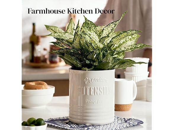 White Kitchen Utensil Holder 