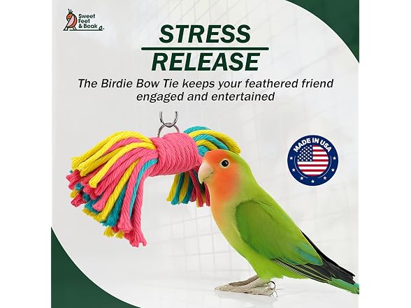 Sweet Feet and Beak Birdie Bow Tie, Large Co