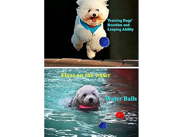 FULLINY Puppy Toys Small Rubber Balls