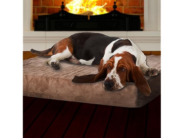 Memory Foam Dog Bed - 37x24 (Tan)