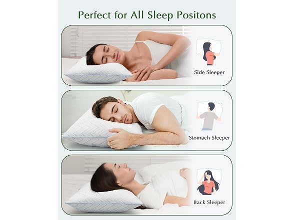 DIORIS Cooling Pillows Queen Set of 2