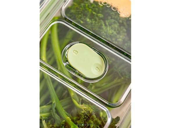 Latchlok  0.9 Cup Food Storage Containers, Set of 2 - Sage