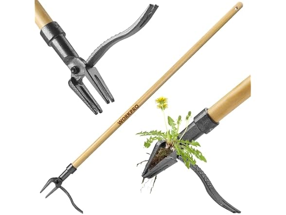 WORKPRO Weed Puller Tool Pick Color