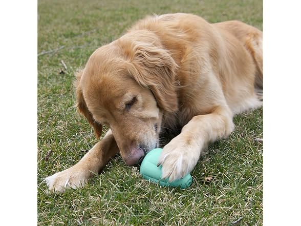 Chew King Premium Treat Dog Toy, XL