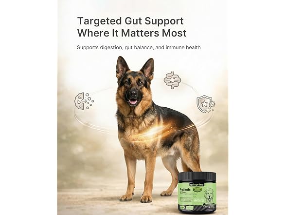 Probiotics for Dogs