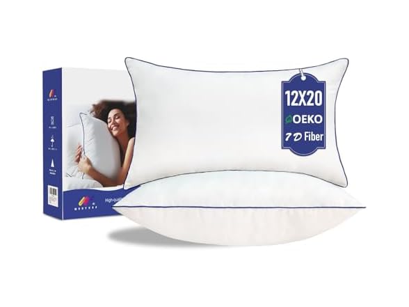 Pillow Insert Set of 2