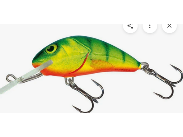 SALMO QHT499 Hornet 040 Hot Perch