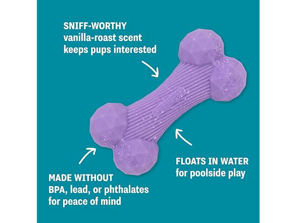 Pupstages Pupstages Flex-Force Bone Dog Toy for