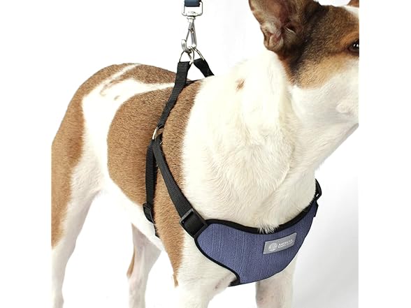 AKC Striped Step-in Dog Harness – No Pull