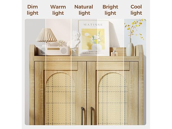 Mericonia Rattan Shoe Cabinet Storage