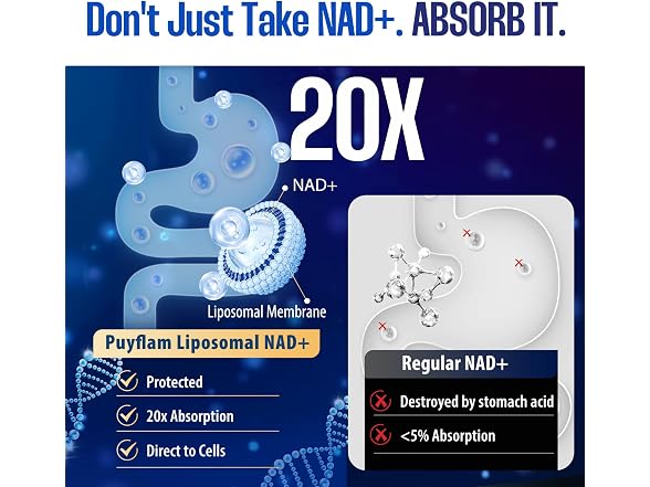 Puyflam 12-in-1 Liposomal NAD+ Supp