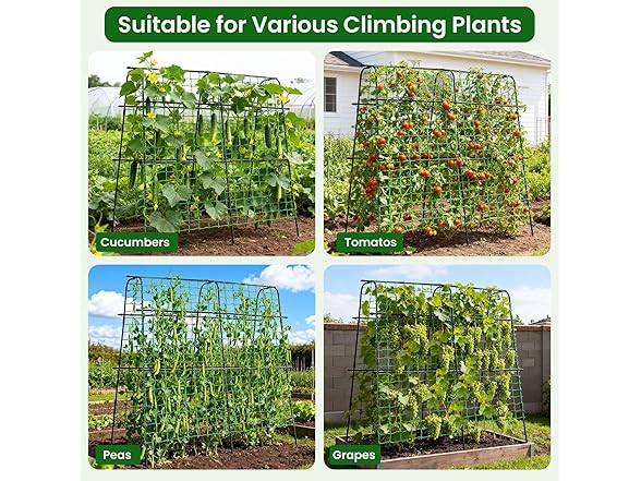 OTOSUNNY 5.3ft Garden Arch Trellis