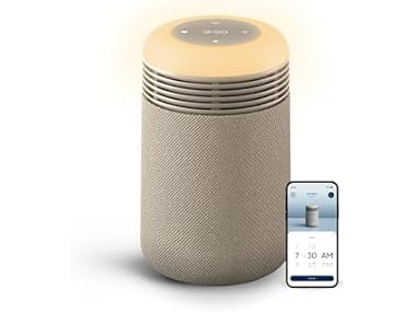 $59.99, Was $199.99, 70% Off! BLUEAIR HEPA Purifier & Sunrise Alarm Clock dealfomo
