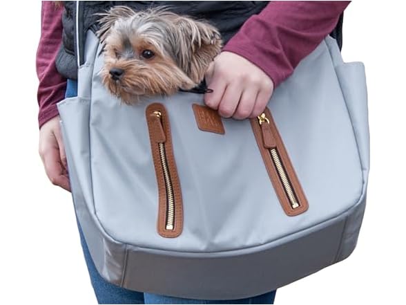 Pet Gear Carrier and Car Seat, Sea Salt