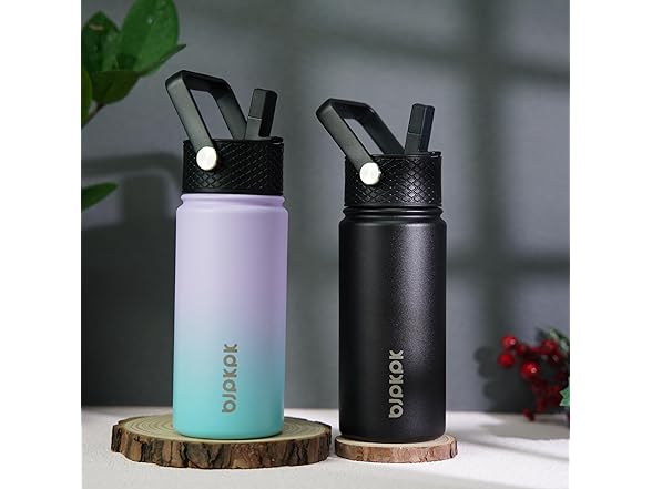 BJPKPK 2 Pack Insulated Water Bottle with Straw Lid