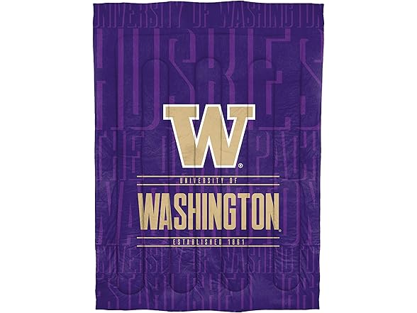 UW Huskies Twin Comforter Modern