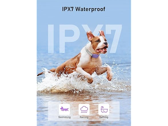 PLAYPET Dog Shock Collar, 2000FT
